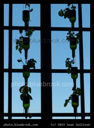 Water Chain - Cafe des Arts, Montreal QC