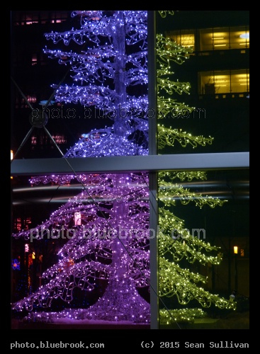 Winter through a Colorful Window - Palais des Congres, Montreal QC