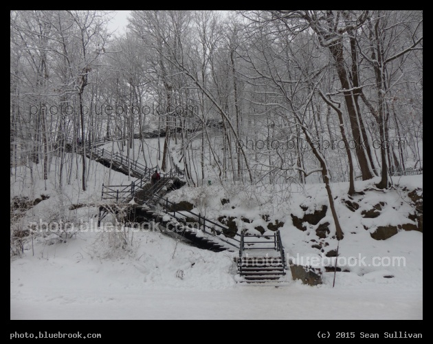 Stairs at Mont Royal - Montreal QC