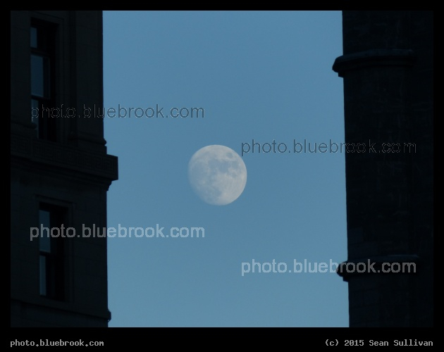 Between the Buildings - Montreal, QC