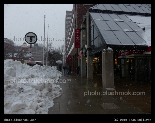 Kendall Square in Winter - Cambridge, MA