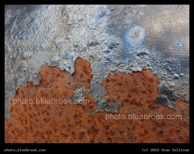 Rust Frontier - Somerville MA