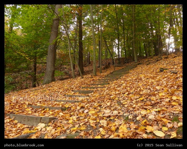 Stairway through Leaves - Hemlock Gorge, Needham MA