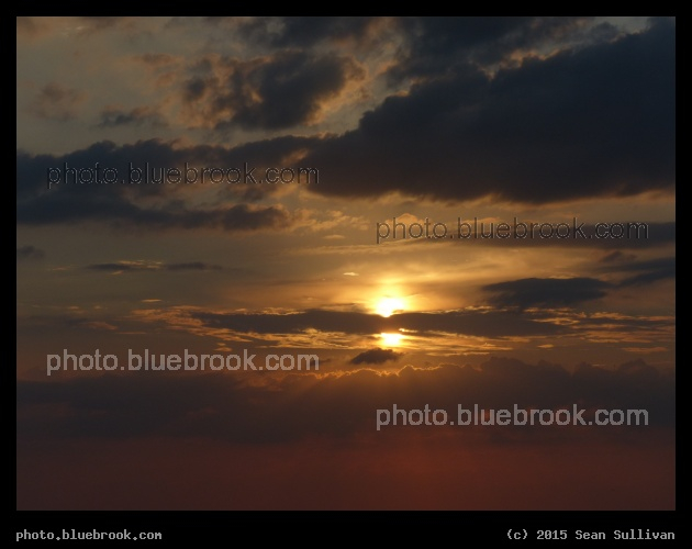 Afternoon Radiance - St Petersburg, FL