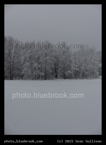 Field of Snow - Sutton, QC