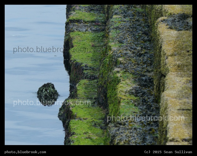 Breakwater Stripes - Eastern Point, Gloucester MA
