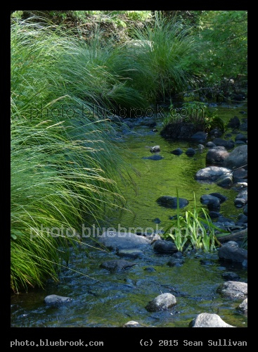 Ware - Muddy Brook, Ware MA
