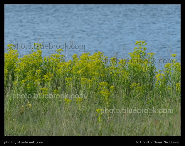 Draw Seven Waterfront - Draw Seven Park, Mystic River, Somerville MA