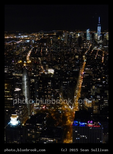 Flatiron to the Harbor - A view south from the Empire State Building, New York City.  Prominent landmarks include Fifth Avenue (straight), the Flatiron Building, and Bowery (curved street, left).