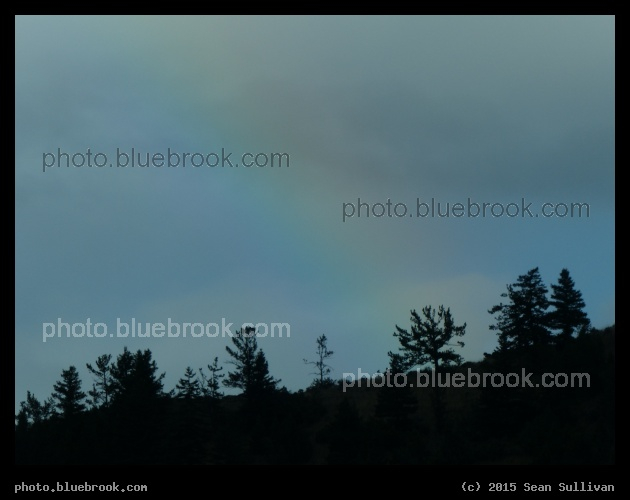 Rainbow with Tree Silhouettes - Springdale, MT