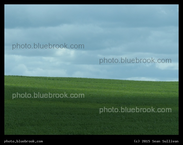 Green Field - North Dakota