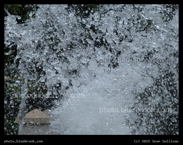 Waterdrops in the Air - Charleston, SC