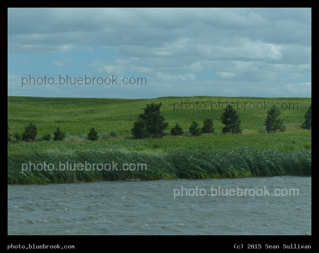 Whipped by Wind - Crystal Springs, ND