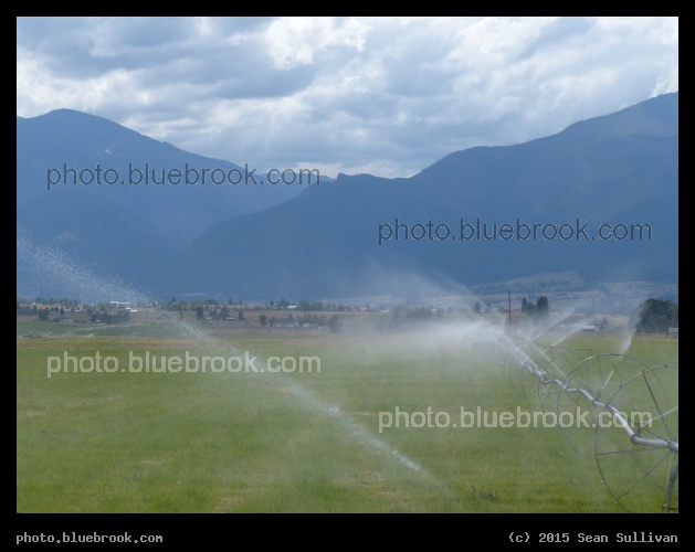 Sunnyside Waterspray - Stevensville, MT