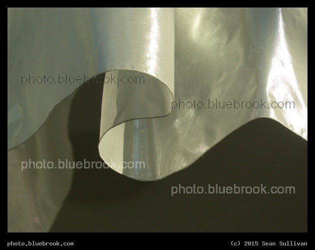 Fabric Twirl - Spokane WA2015-10-01   s-150831-f060593.jpg  /local/pub/bluebrook.com/photo/images/           Mystery Cat                        cats                           Fur through window blinds, Crookston MN