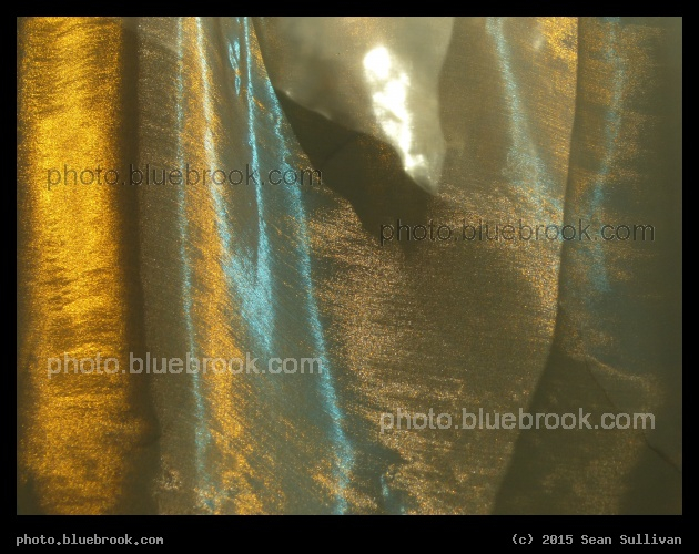 Gold Shimmer - Spokane WA