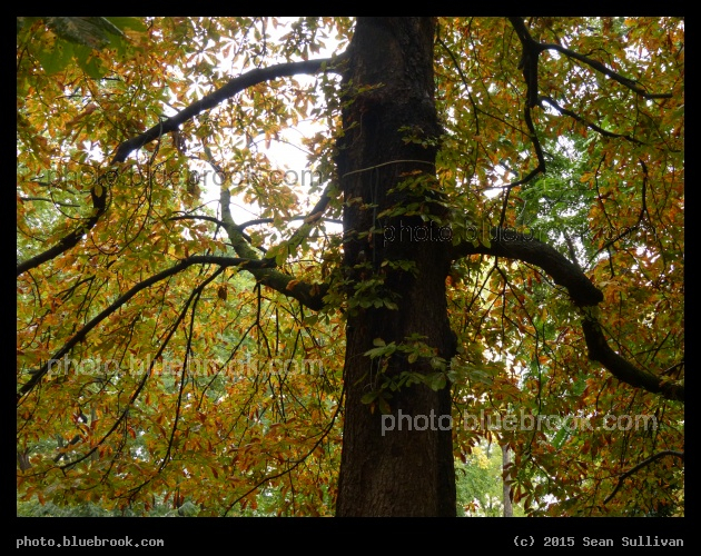 Berlin Autumn - Berlin, Germany