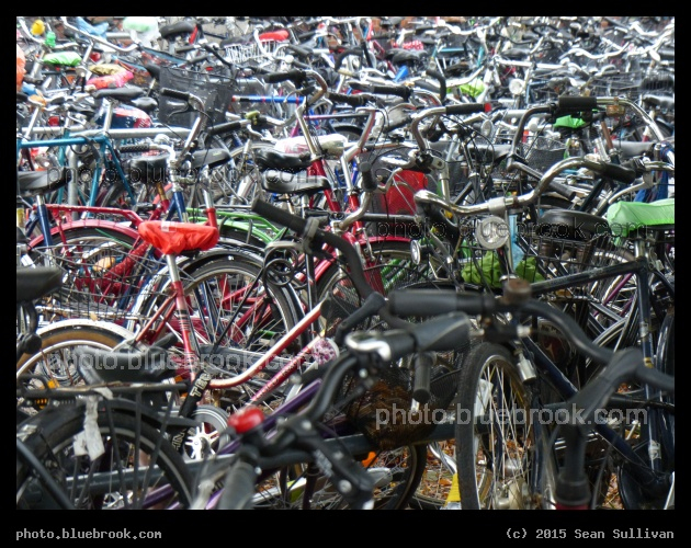 Bicycle Opacity - Munster, Germany