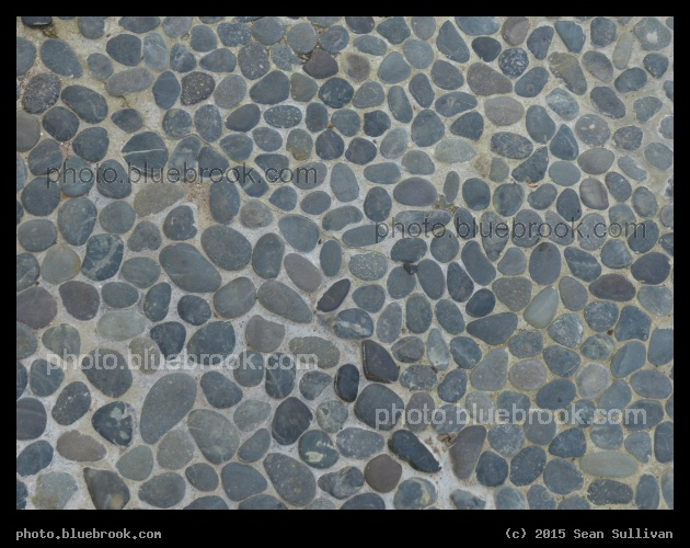 Rounded Cobblestones - Hortus Botanicus Leiden in Leiden, Netherlands