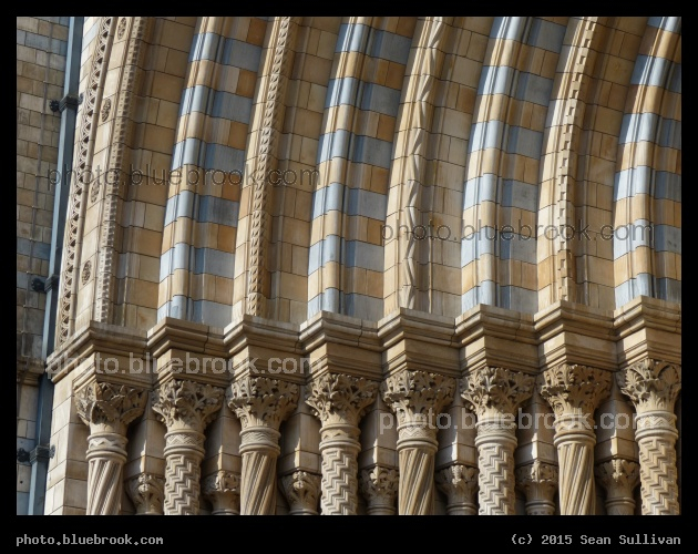 Columns and Arches - Natural History museum, London England