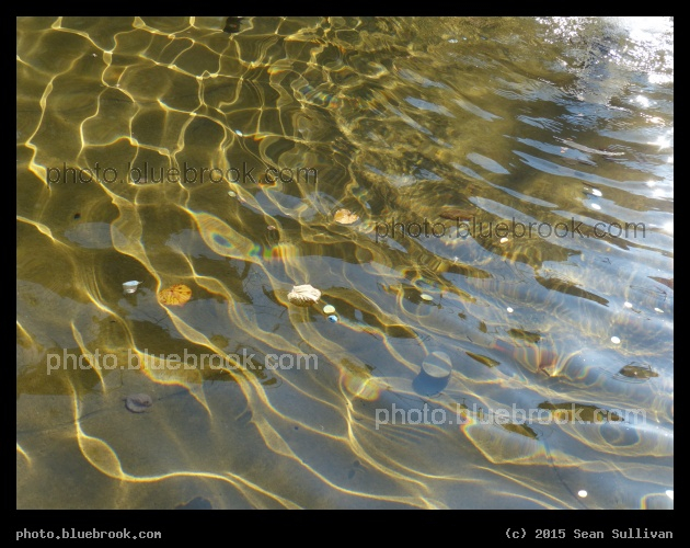 Palace Water - Zwinger Palace, Dresden Germany