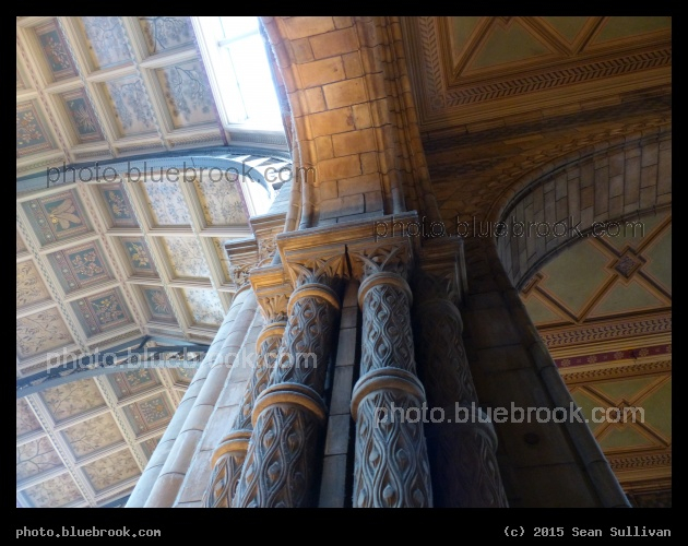 Science and History - Natural History museum, London England