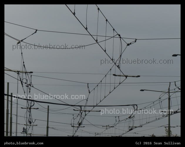 Tram Wires - The Hague, Netherlands