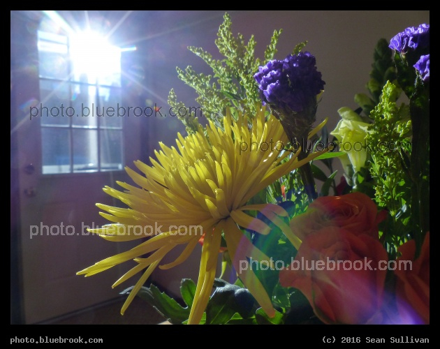 Sunlight through the Window - Somerville MA