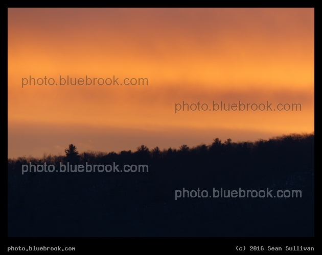 Apricot Glow - From Kripalu, Stockbridge MA