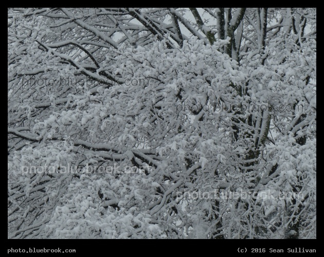 Highland Snowfall - Somerville MA