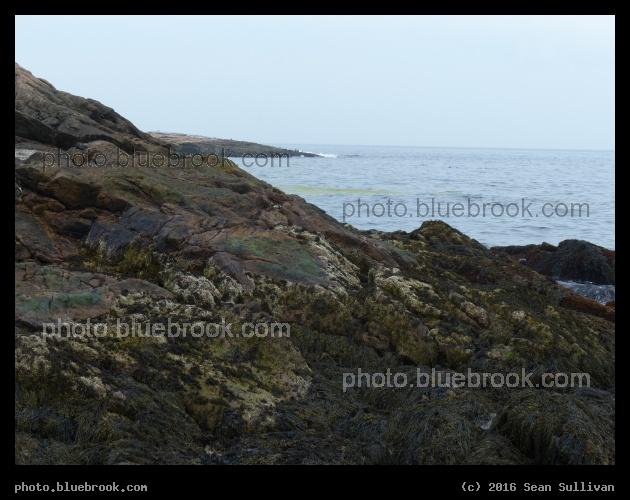 Eastern Point - Eastern Point, Gloucester MA