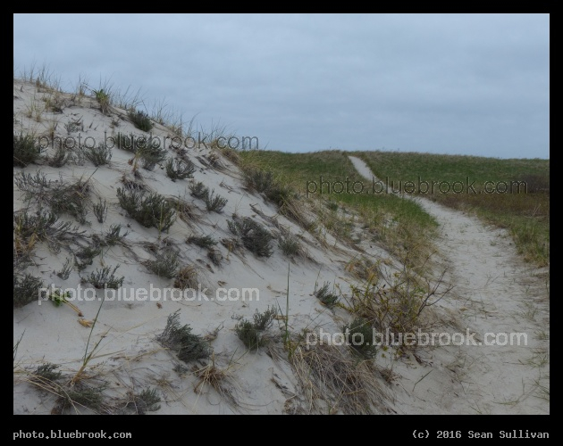 Path to the Beach - Crane Beach, Ipswich MA