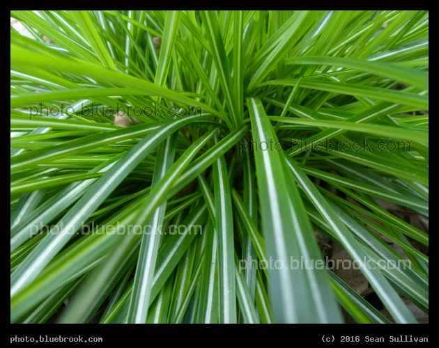 Micro Super Highway - Somerville MA