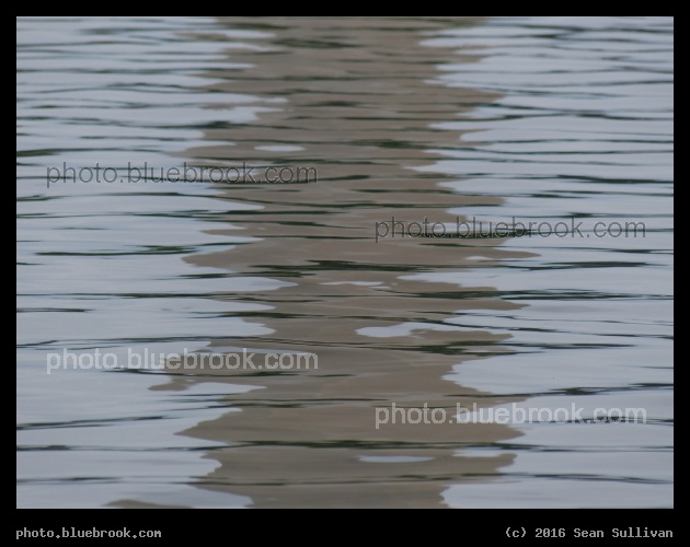Tidal Basin Ripples - From the FDR Memorial, Washington DC