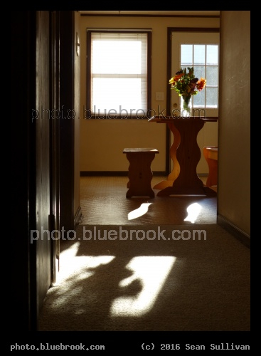 Sunlight in the Kithen - Somerville, MA