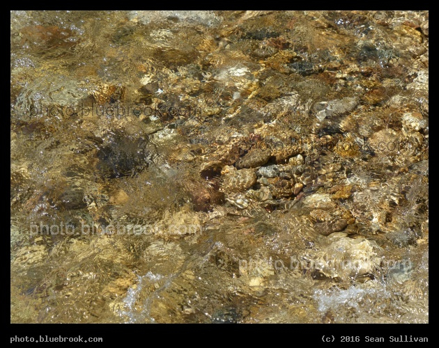 Carlton Creek - Florence MT