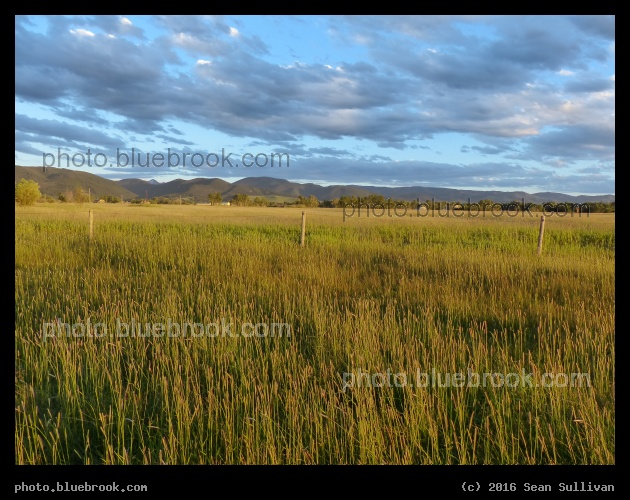 Bozeman Pasture - Bozeman MT