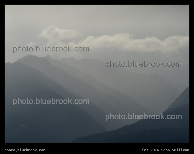 Gray Mountains - Corvallis MT