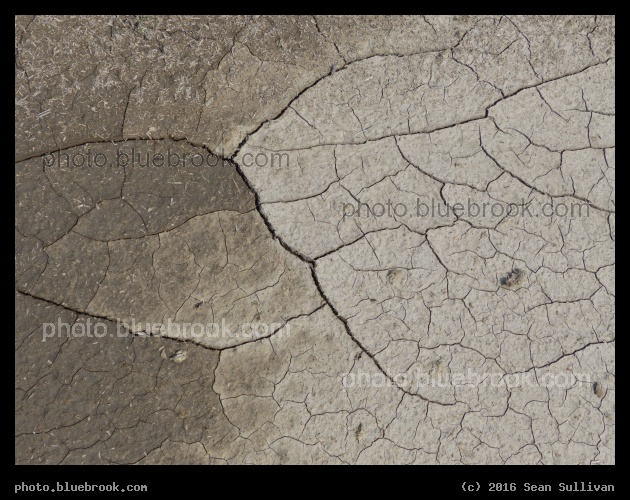 After the Water - Corvallis MT