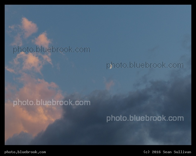 Nestled Crescent - Corvallis MT