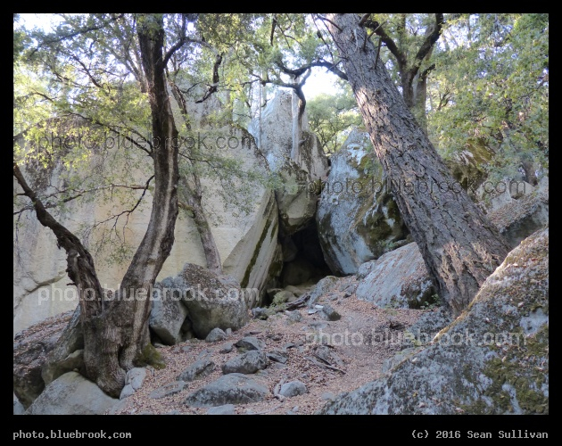 Forest Cave - Yosemite