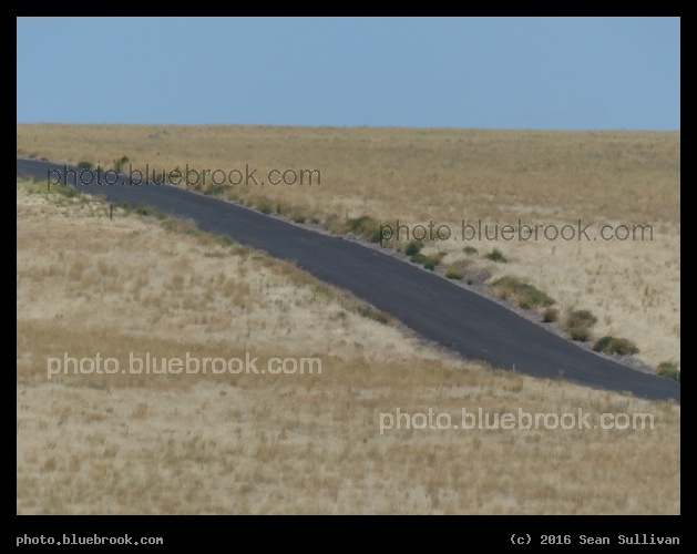 Road through Yellow Landscape - Near Sprague, WA