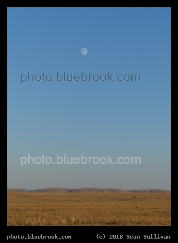 Oregon Rising Moon - Eastern Oregon