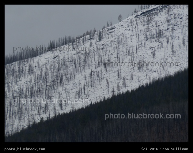 Diagonal Band of Snow - Bitterroot National Forest from Blodgett Camp Rd, Hamilton MT