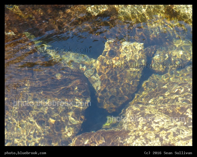 Pool in a Mountain Stream - Tamarack Creek, Yosemite