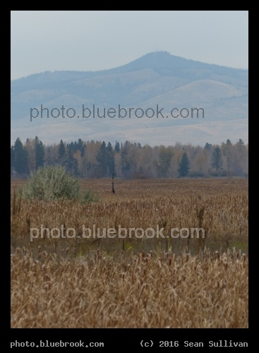 October Marshland - Lee Metcalf National Wildlife Refuge, Stevensville MT