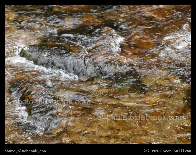 Rushing Stream - Near Blodgett Overlook trail, Bitterroot National Forest, Hamilton MT