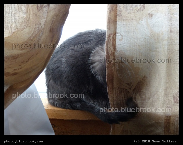 Behind the Curtain - Corvallis MT