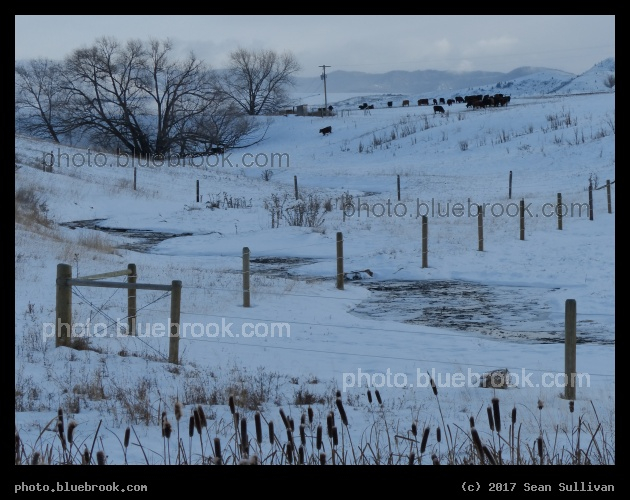Creek through the Fences - Corvallis MT