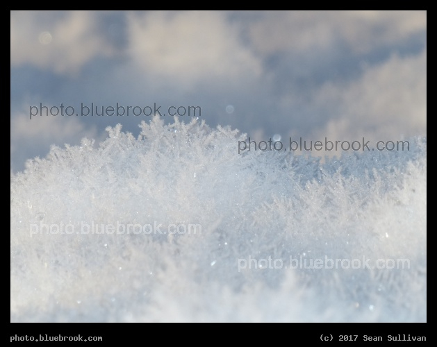 Landscape of Frosted Snow - Corvallis MT